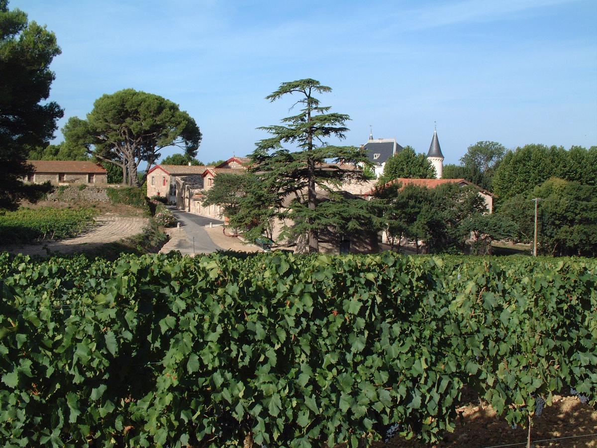 Chateau Saint Martin De Graves Aumes Exteriér fotografie