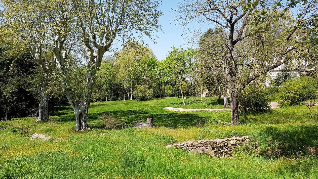 Chateau Saint Martin De Graves Aumes Exteriér fotografie